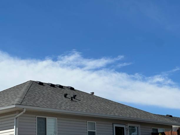 Best Storm Damage Roof Repair  in Rockwall, TX